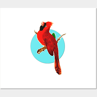 Red Bird Posters and Art